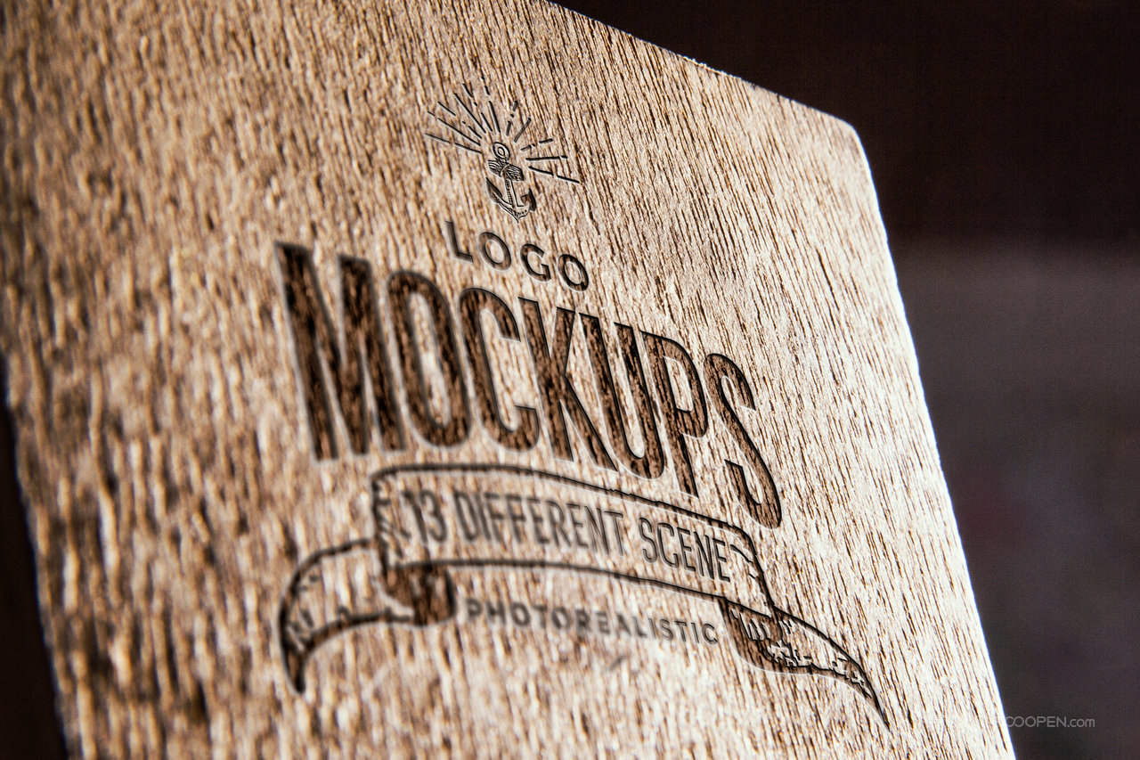 木纹材质企业通用logo标志样机 (2)