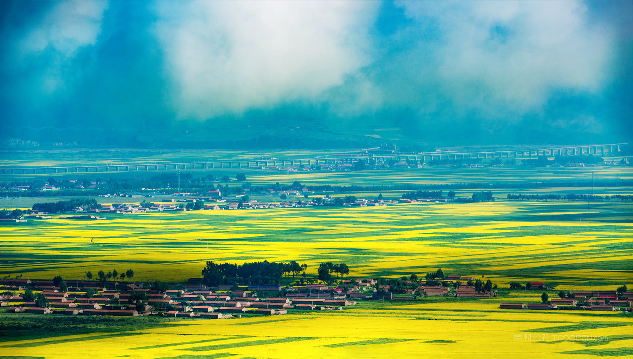 青海辽阔的油菜花田