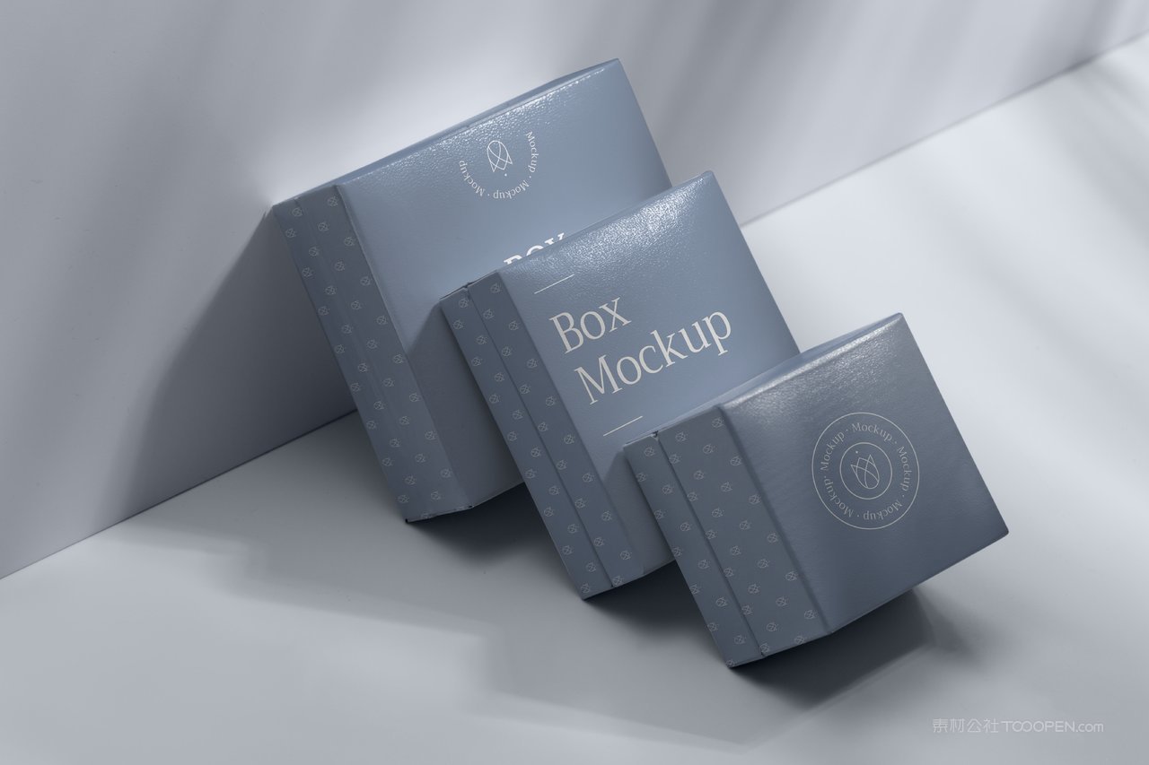 淡蓝光影精品纸盒纸箱样机 (4)