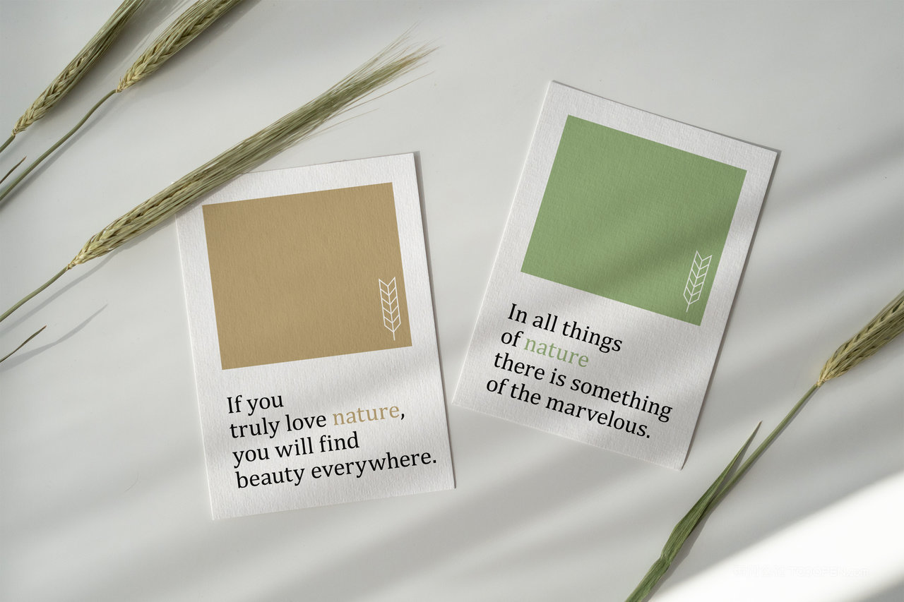 简约素雅卡片模型场景样机