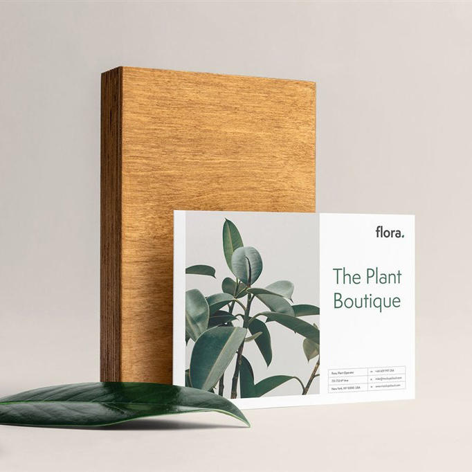 高端优雅品牌设计展示样机