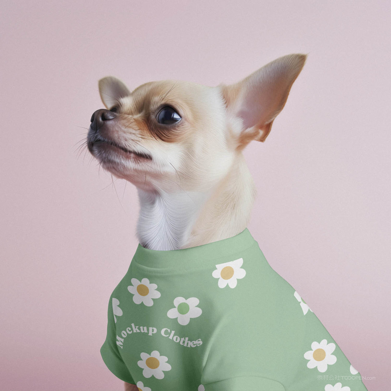 狗狗潮装萌宠服饰贴图样机