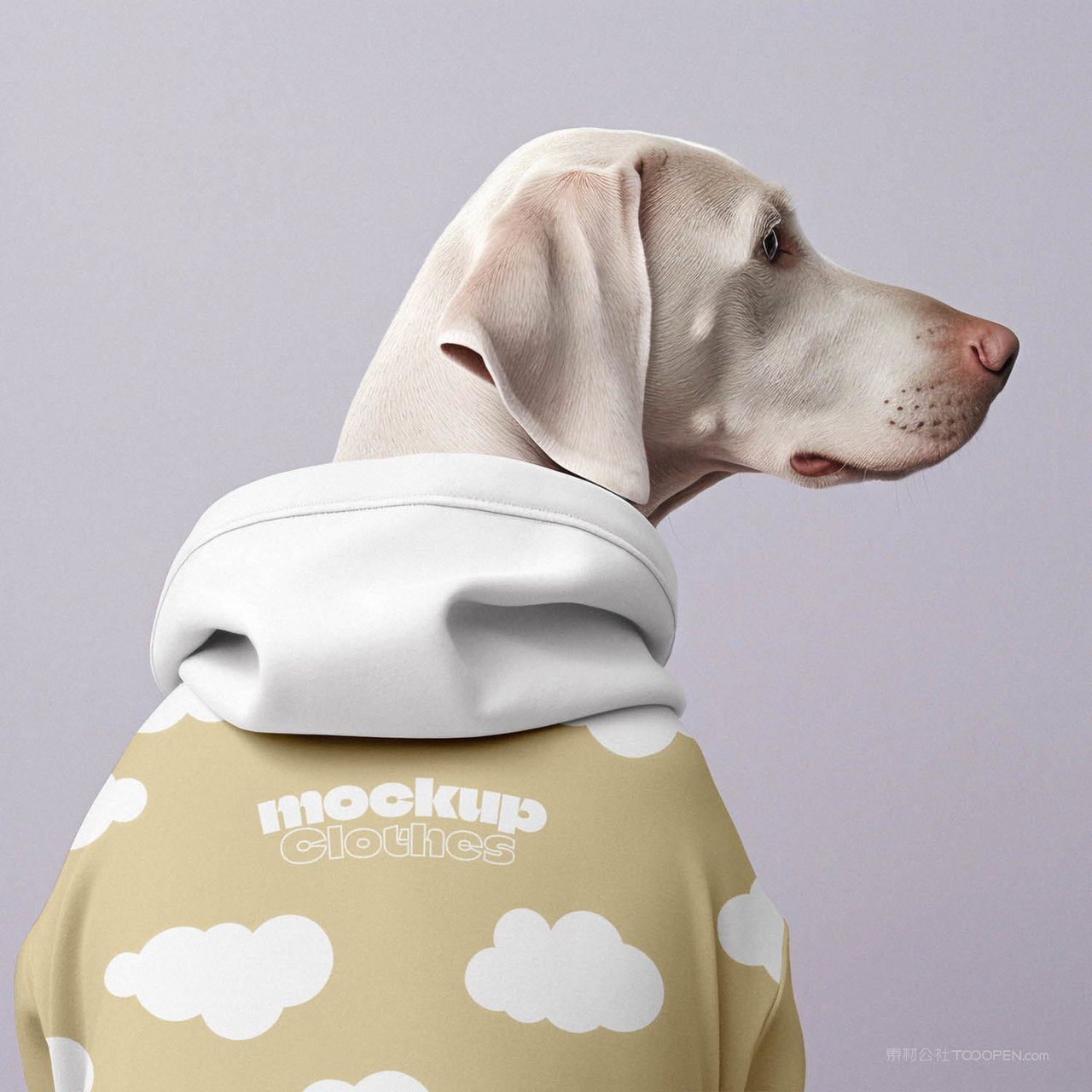 穿着衣服的狗狗背影宠物服饰贴图样机