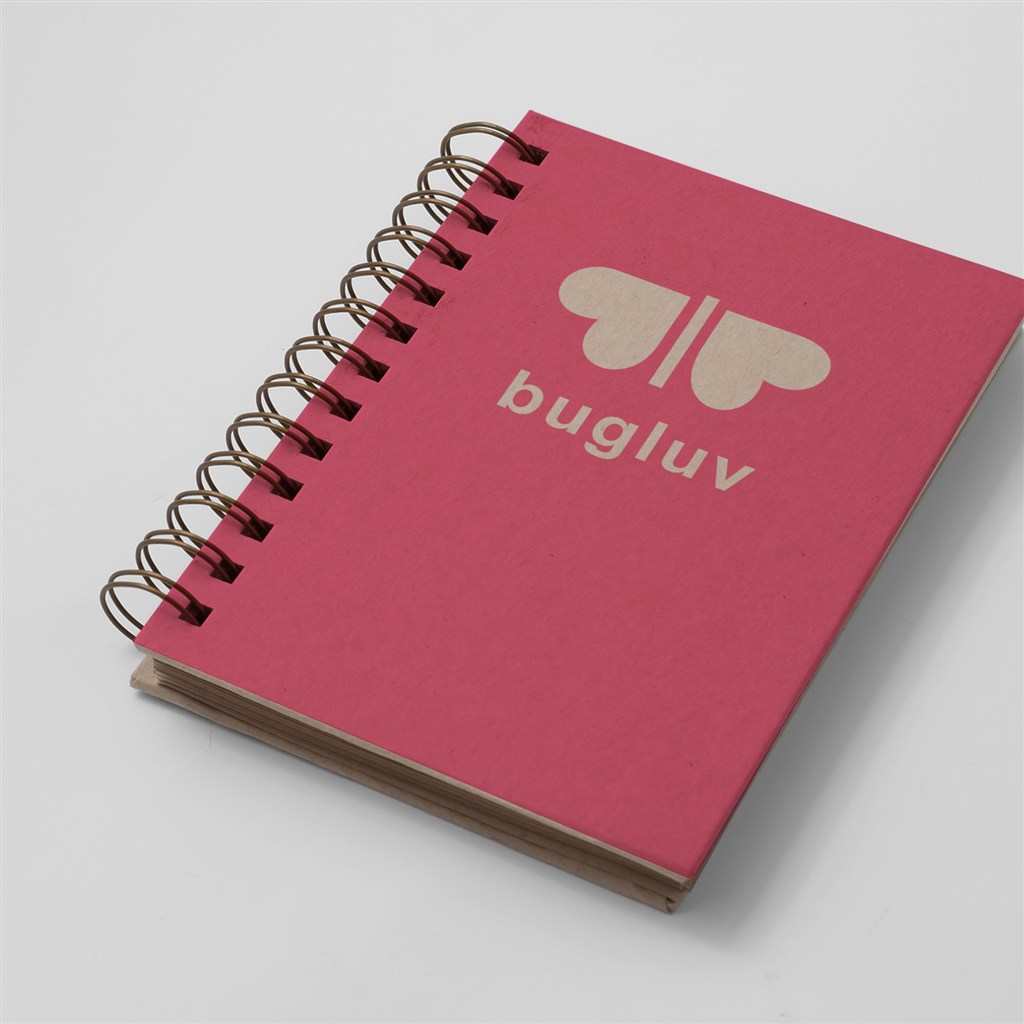 红色精美画册笔记本日记本样机