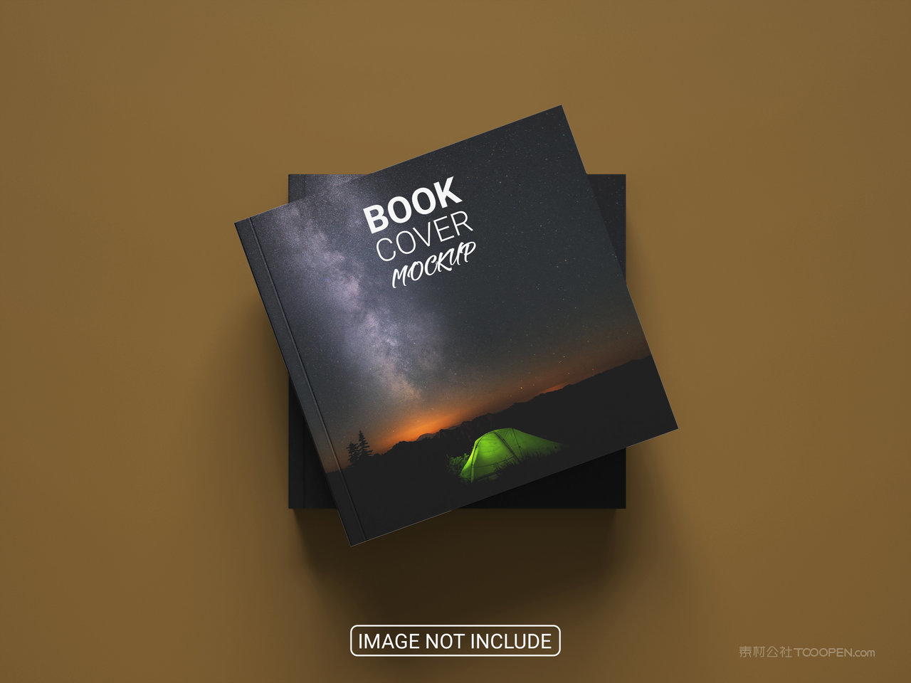 精装书画册样机