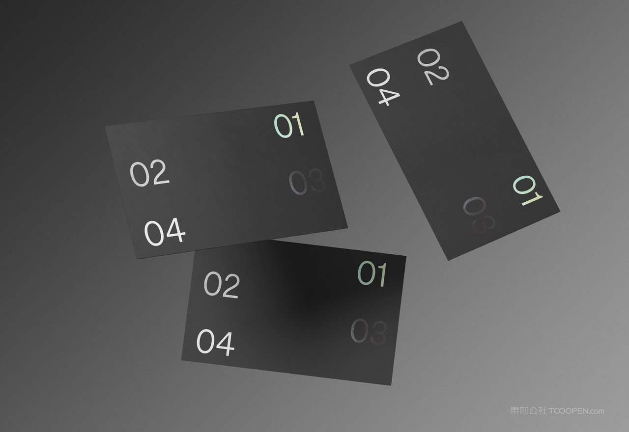 【2091期】商务黑冷淡风小众艺术样机 (9)