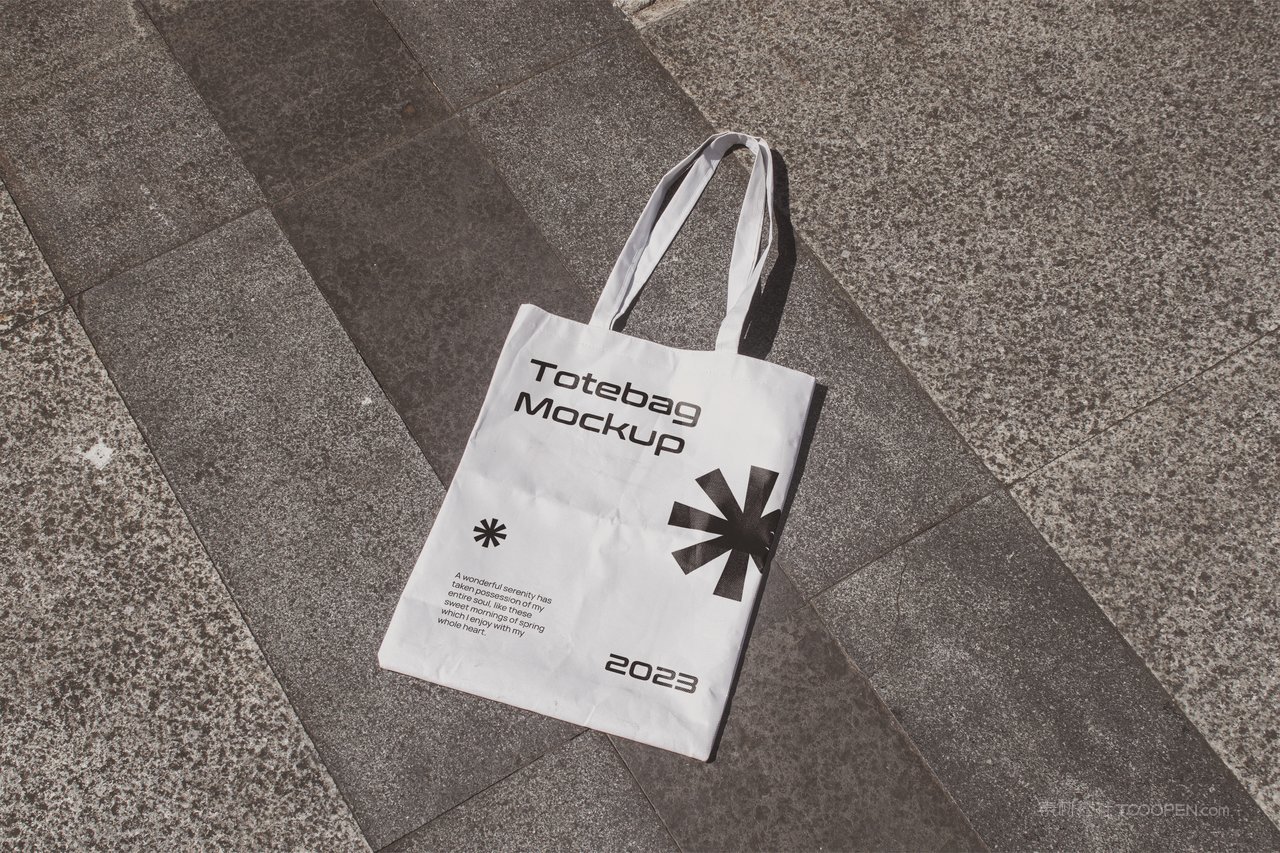 【2095期】小众vi品牌手提带样机 (1)