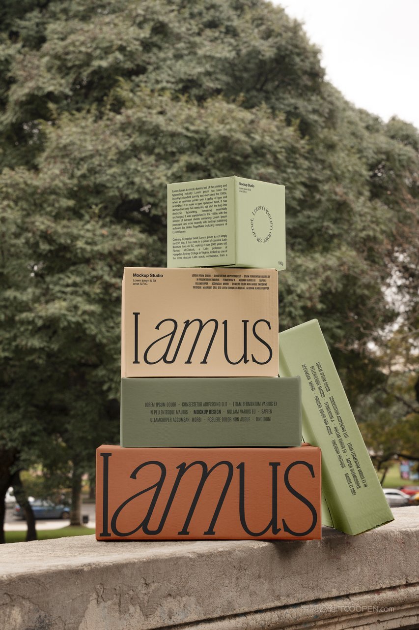 【2190期】手持多规格包装盒纸盒样机 (6)