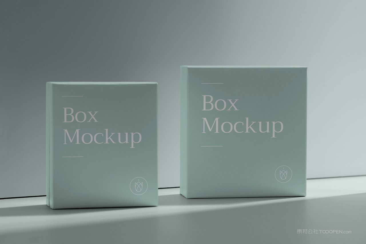 青色光影精品纸盒纸箱样机 (4)