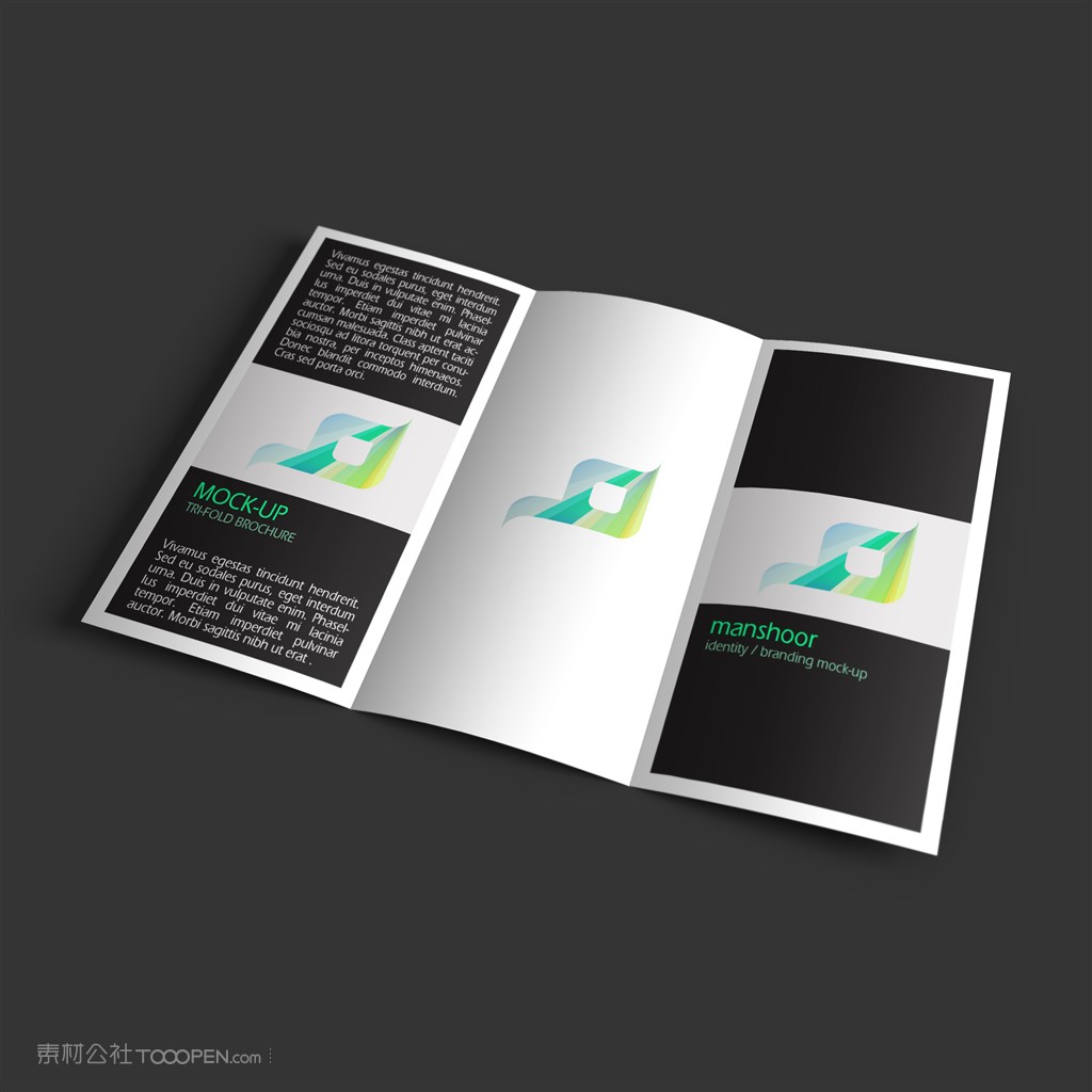 折页宣传页三折页样机