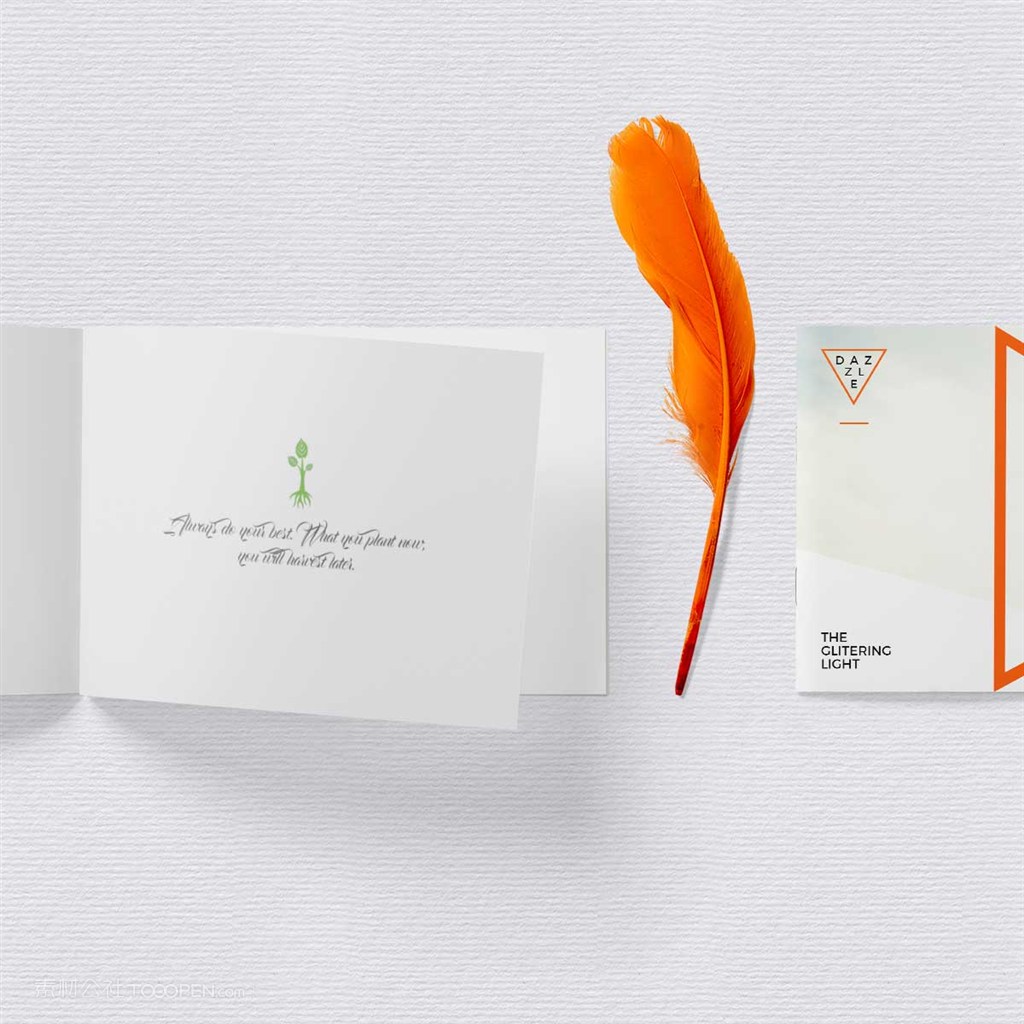 时尚女性桌面画册vi样机