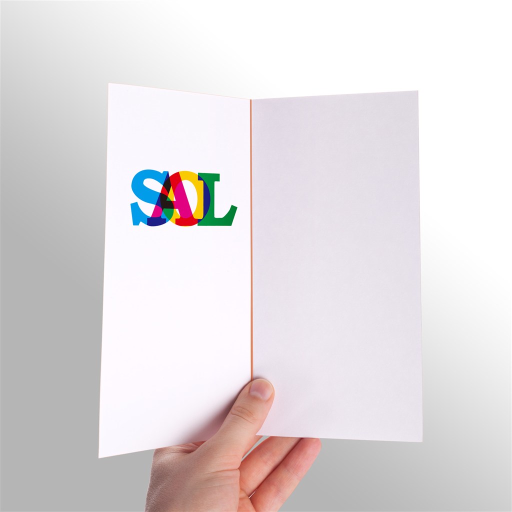 手持SAOL对折页样机