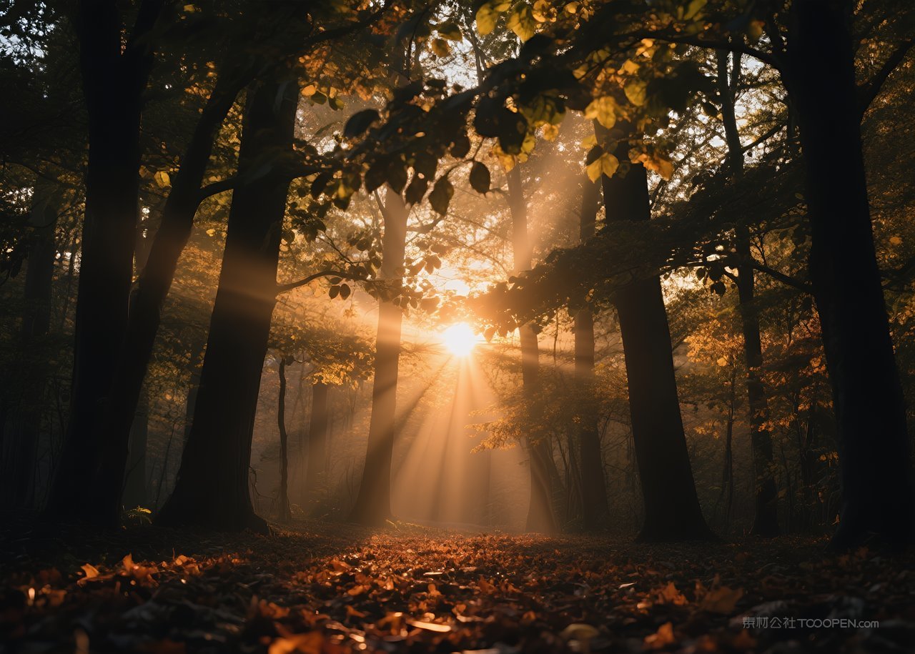 云层日落天空云彩自然唯美落日风景