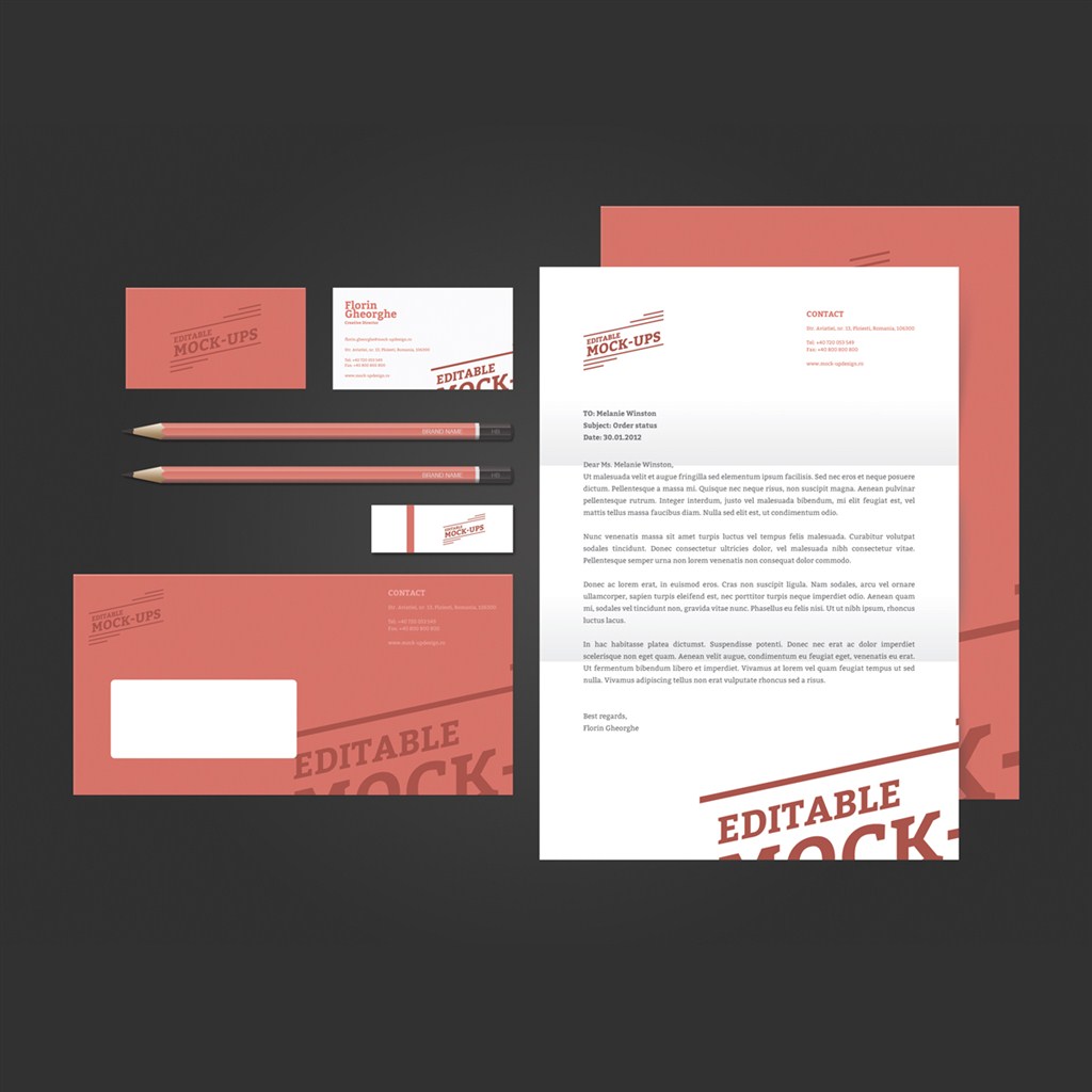 红色调高档VI设计模板样机