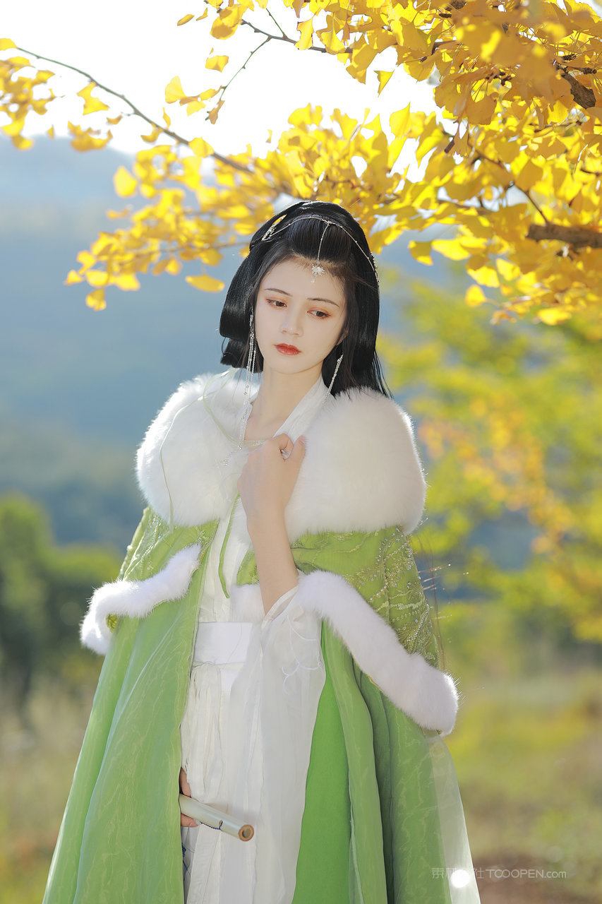 中国气质古典美女高清手机壁纸图片大全