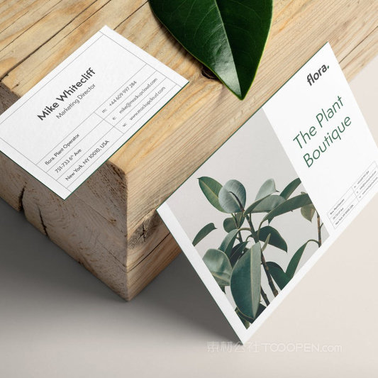 小清新名片卡片贴图样机