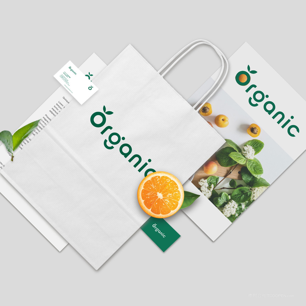 果蔬品牌vi名片画册手提袋贴图样机