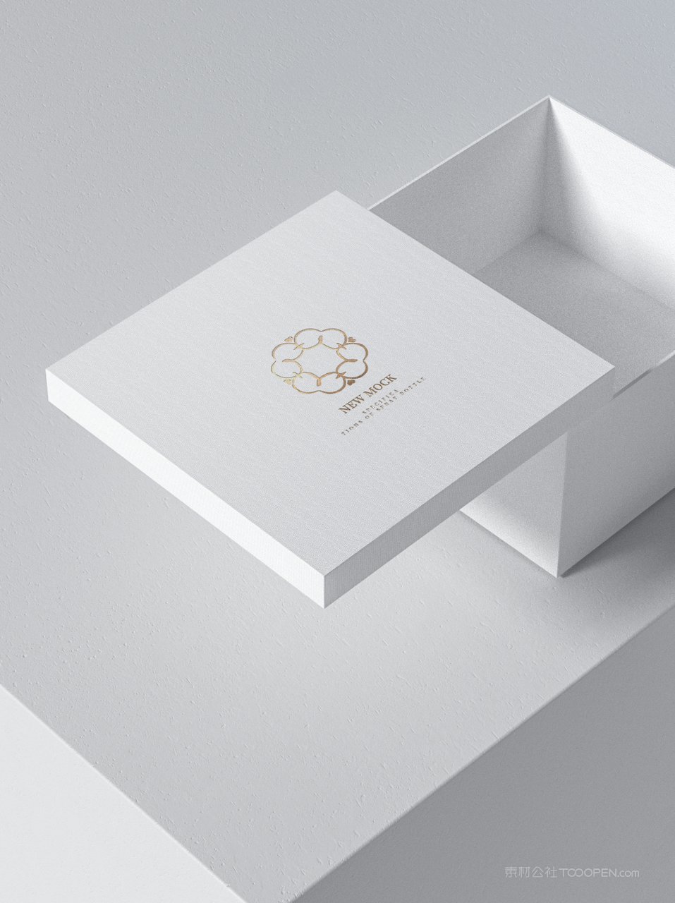 【2021期】方形天地盖纸盒样机 (1)