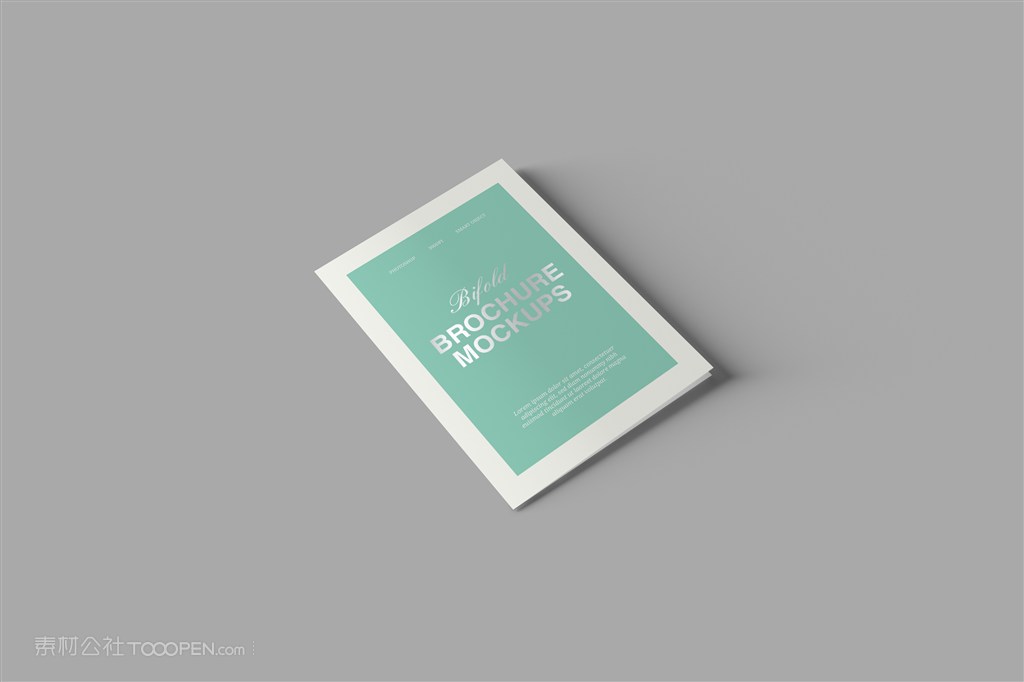 画册设计展示样机模版