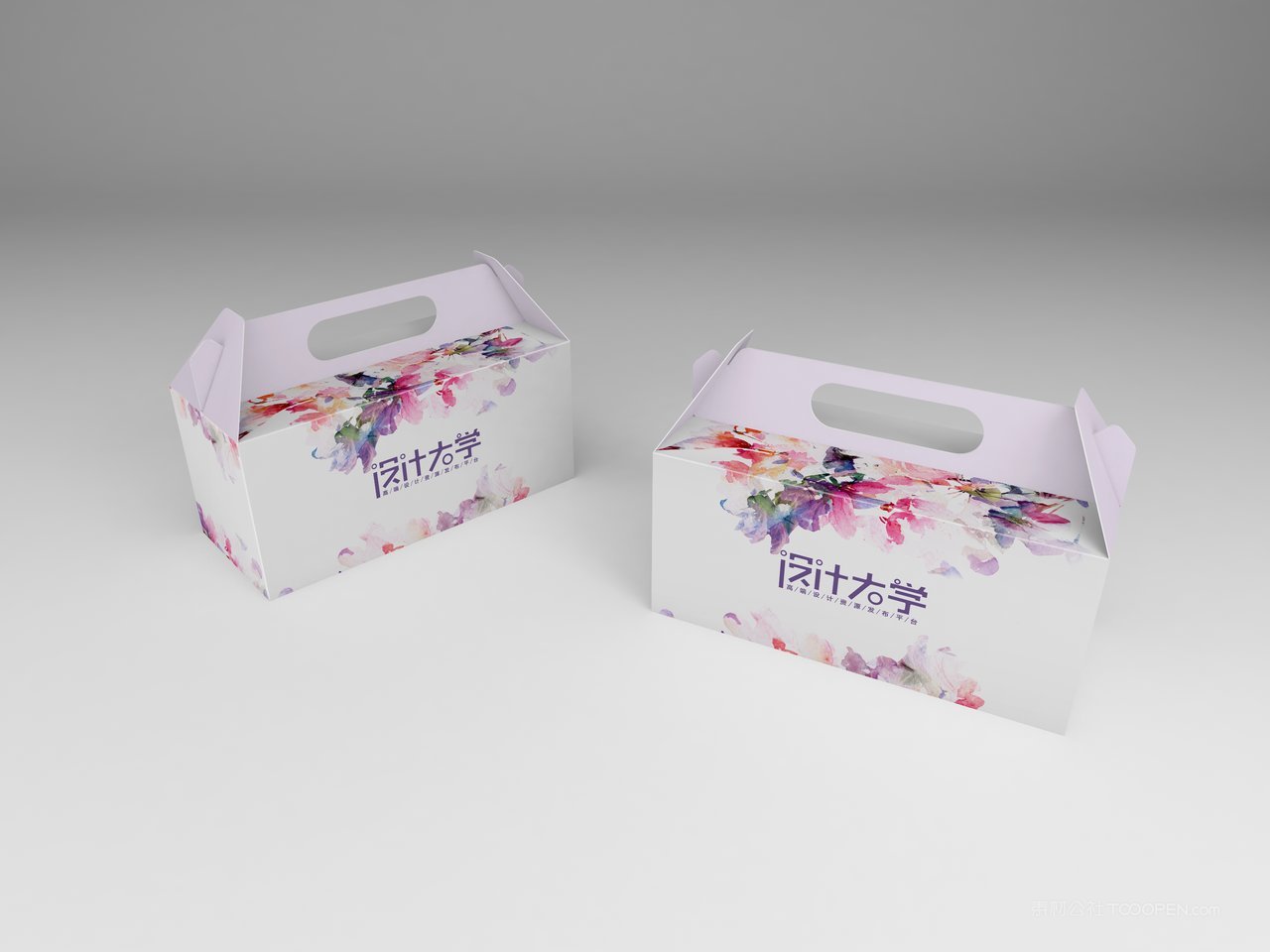 缤纷手提蛋糕盒包装展示样机