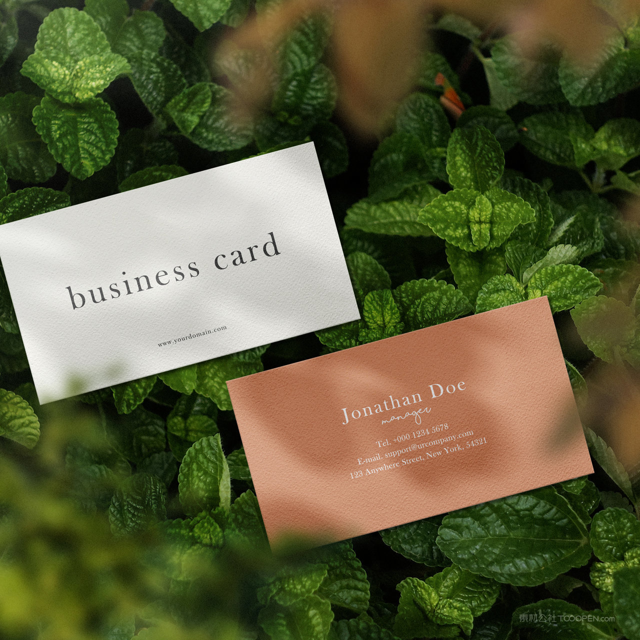 树叶上的名片正反面贴图样机