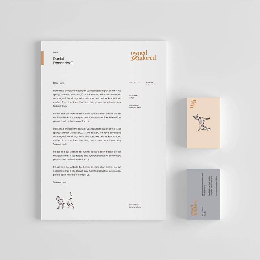 创意宠物店vi样机模板