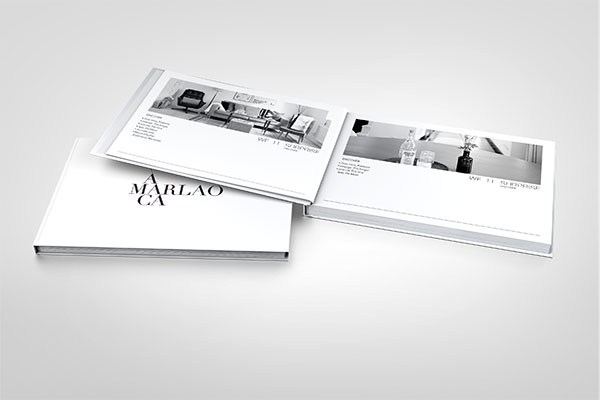 商务画册样机