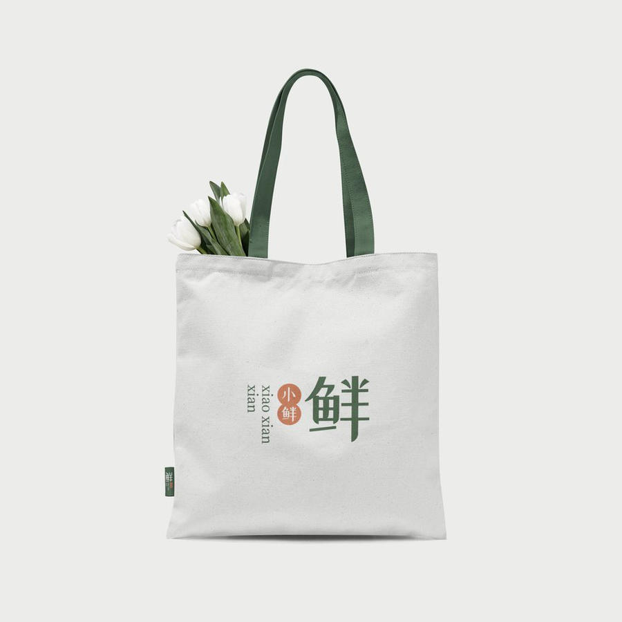 鲜花果蔬品牌连锁店vi样机 (20)