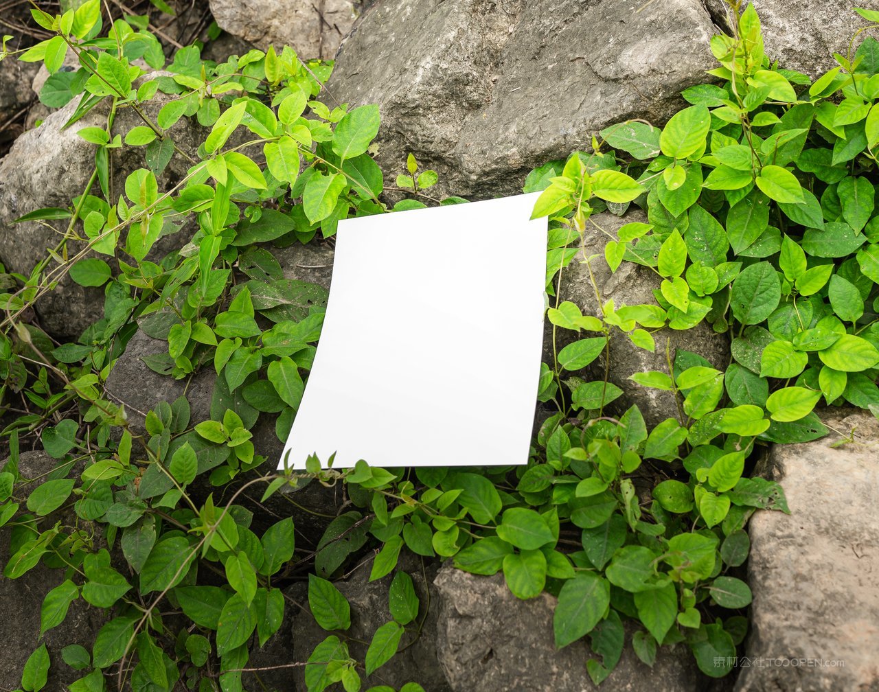 【2100期】实拍场景小众海报宣传单样机 (16)