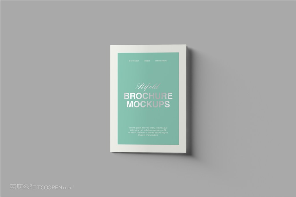 画册设计展示样机