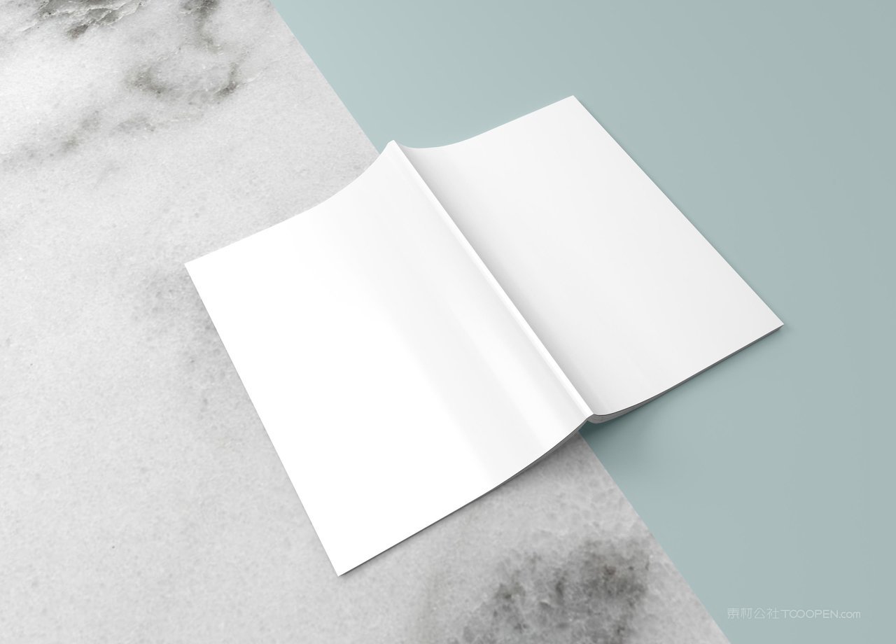 宣传册16开竖版画册样机 (9)