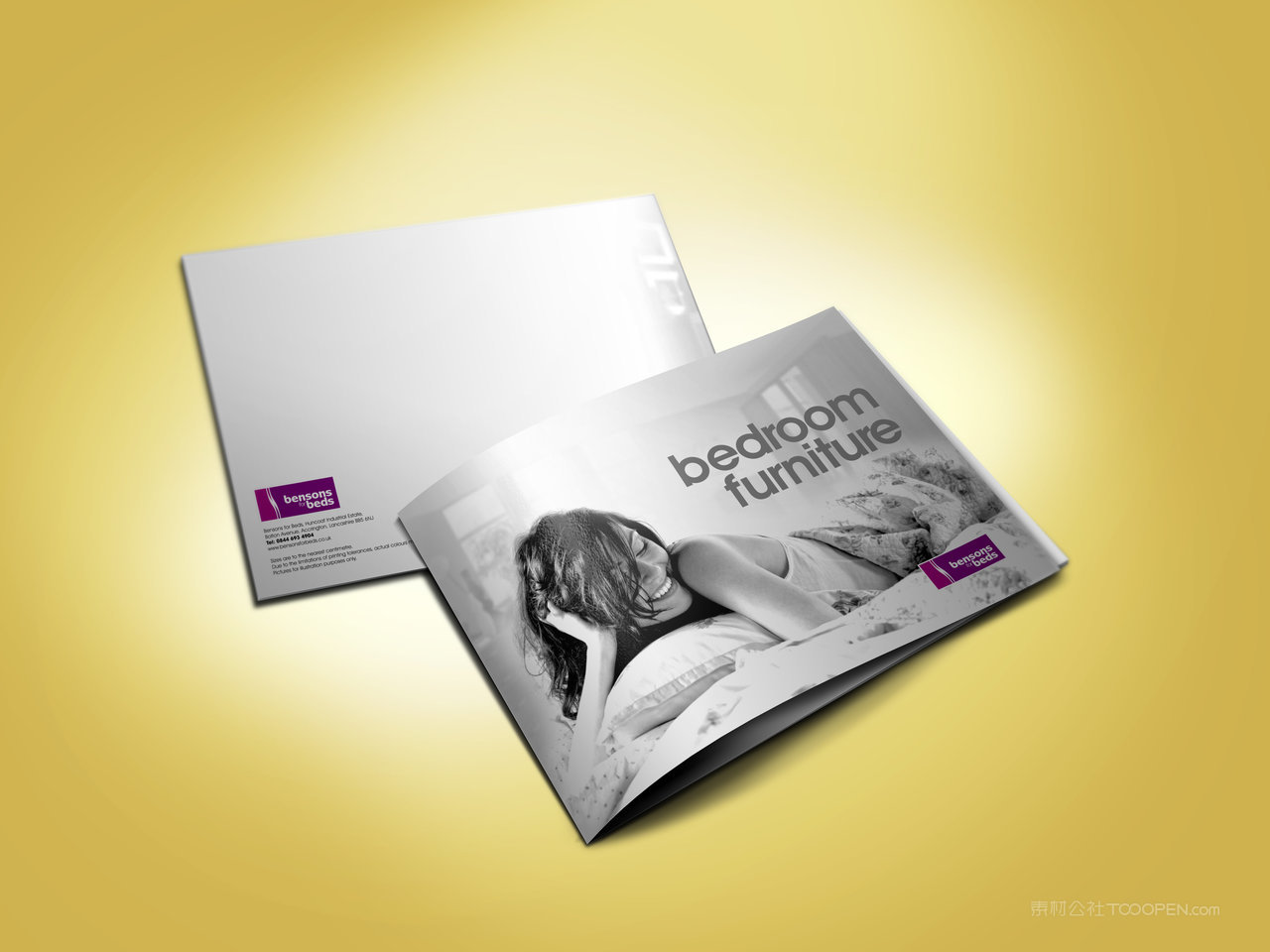 style骑马钉画册样机 (1)