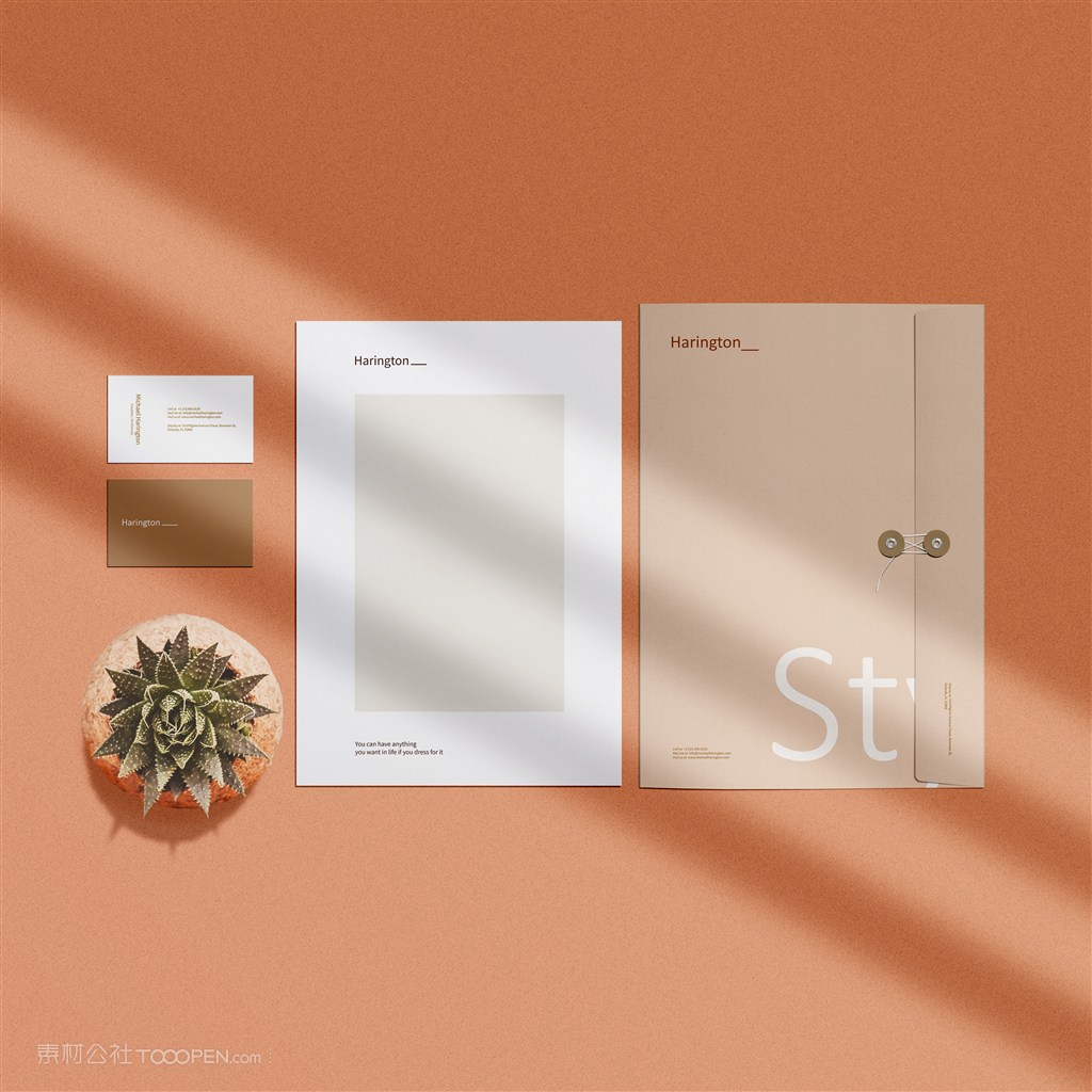 女性品牌文件夹信纸名片贴图样机