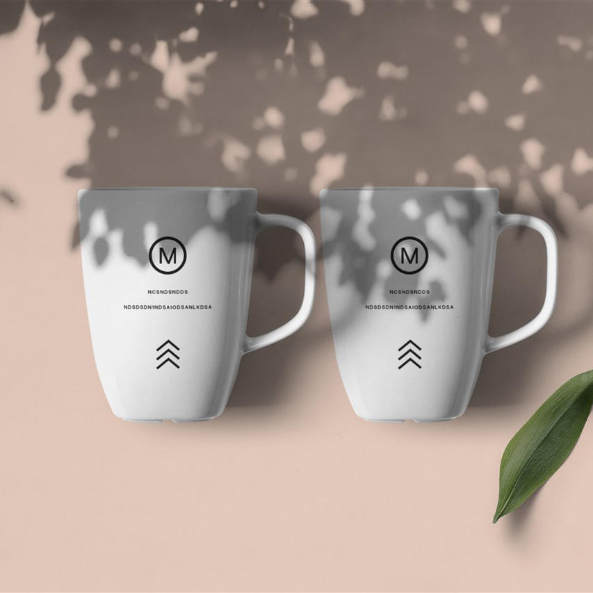 精致大气水杯logo贴图样机