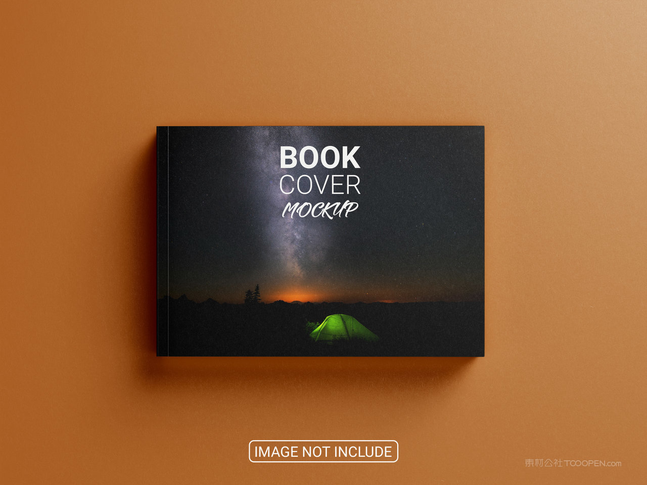 精装书画册样机