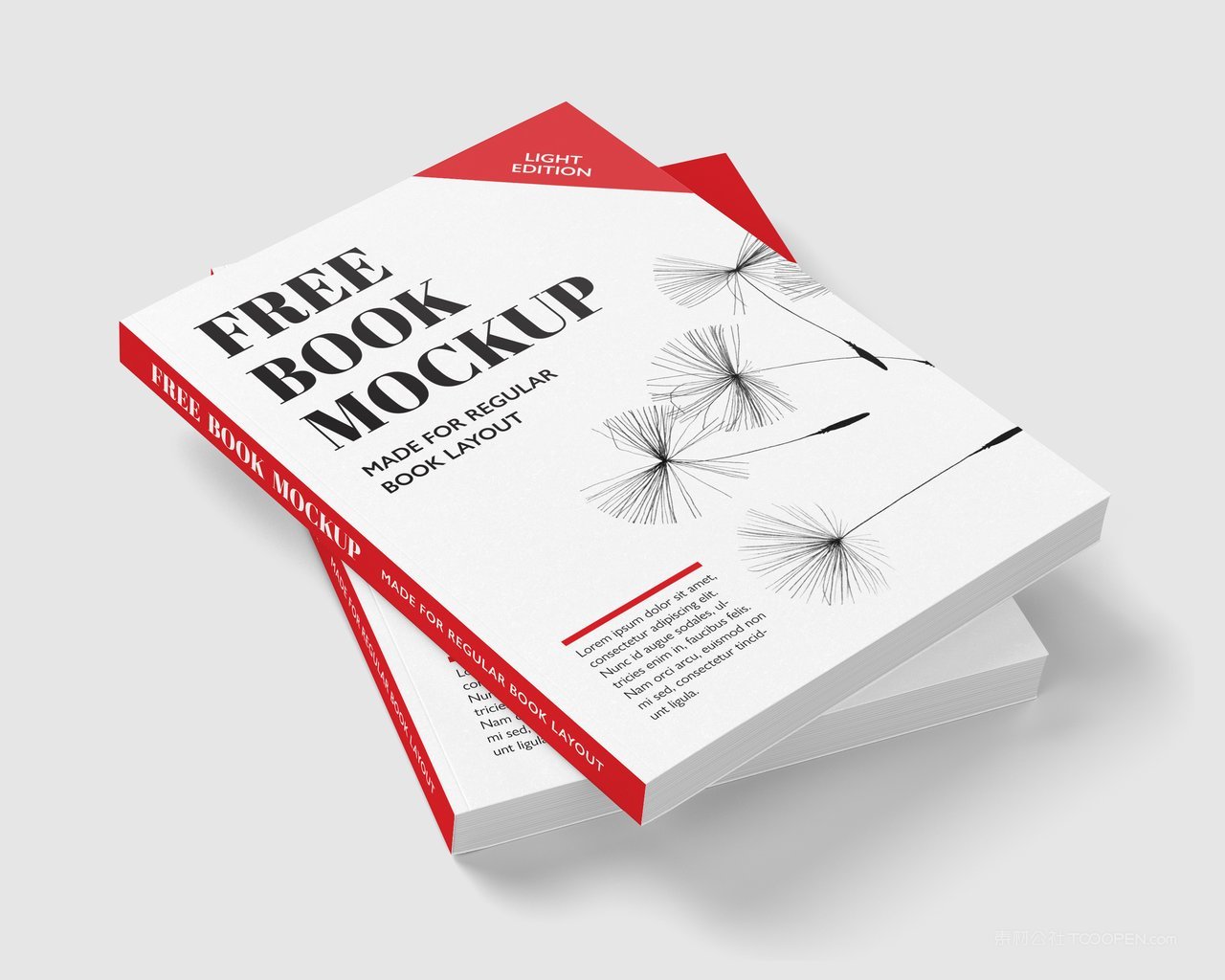 精装硬壳厚厚的书本书籍样机 (16)