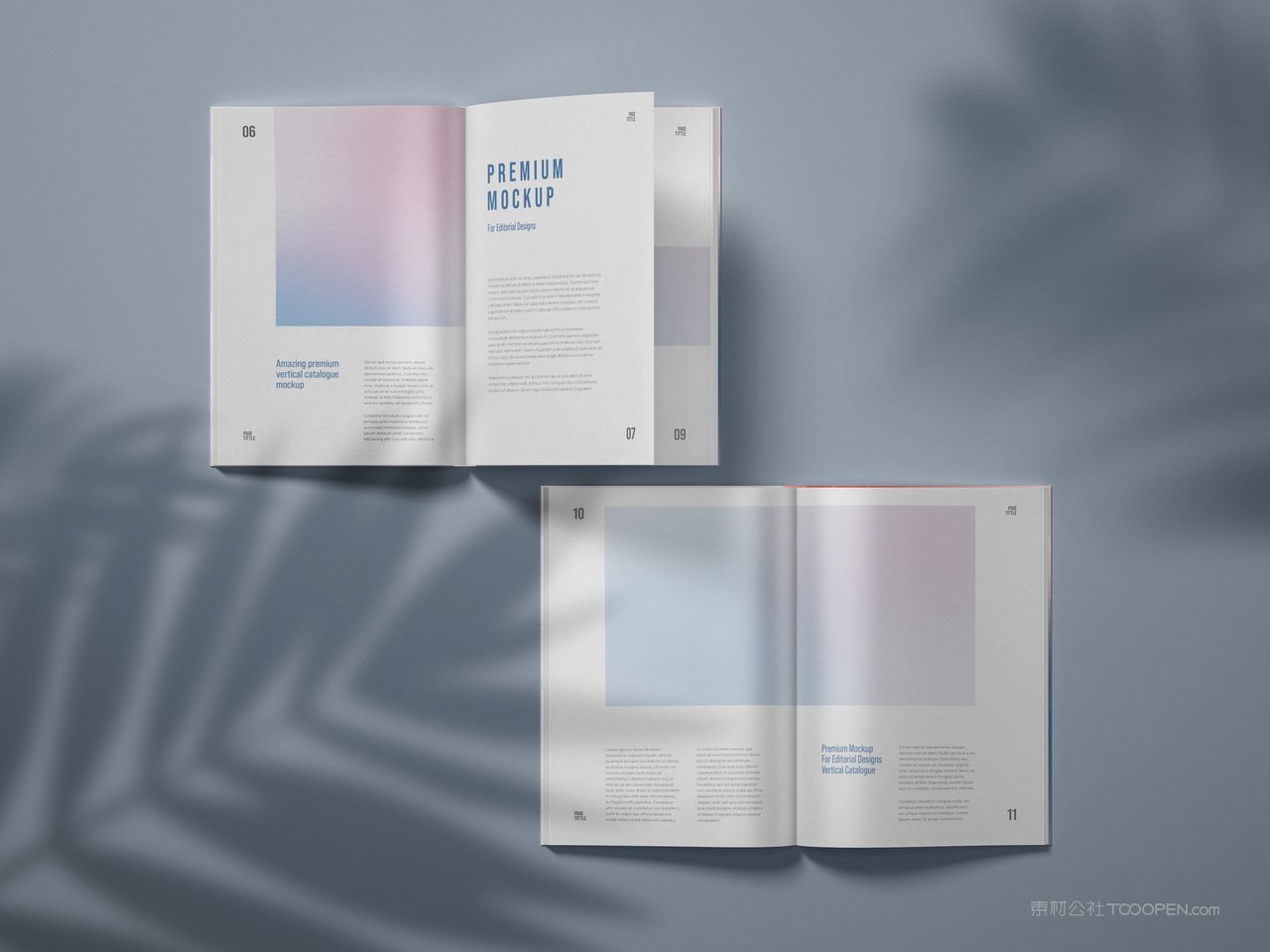 光影场景书籍展示样机 (4)