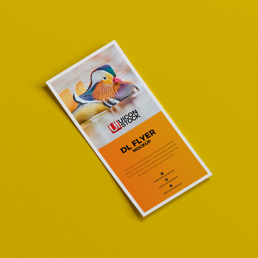 Dl传单样机模型