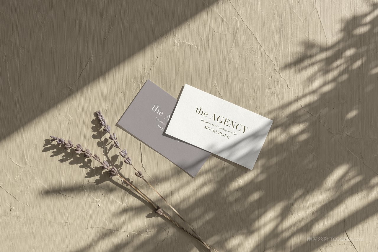 文艺白墙白色名片场景样机