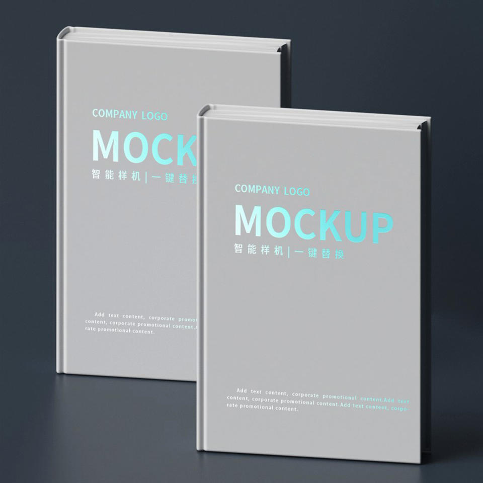 画册渐变logo样机