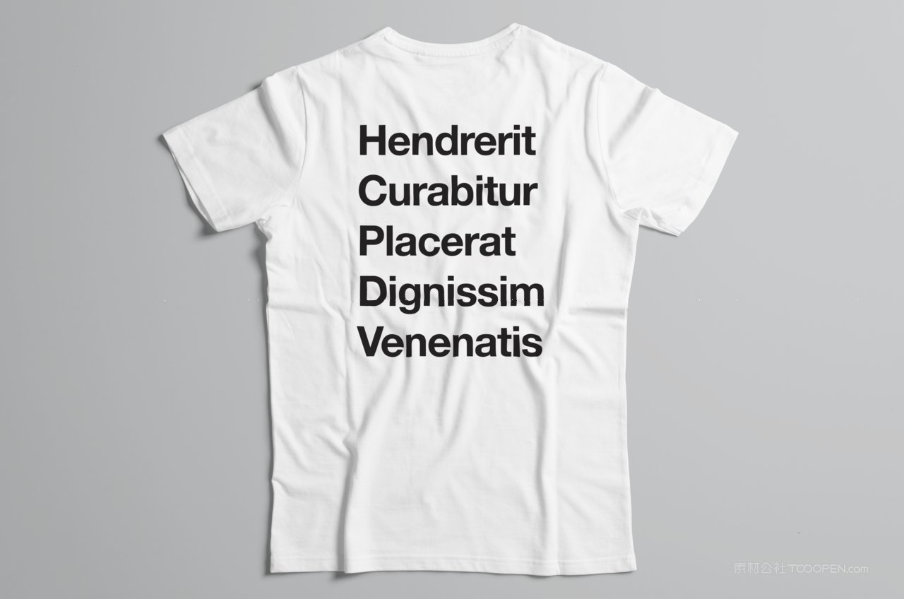 t-shirt企业t恤品牌vi系统样机 (19)