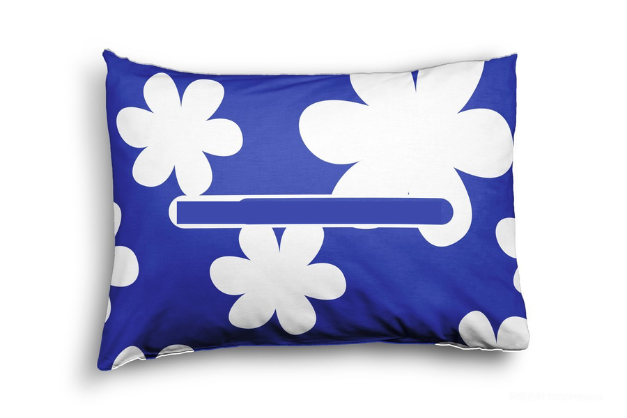 品牌VI形象展示样机抱枕