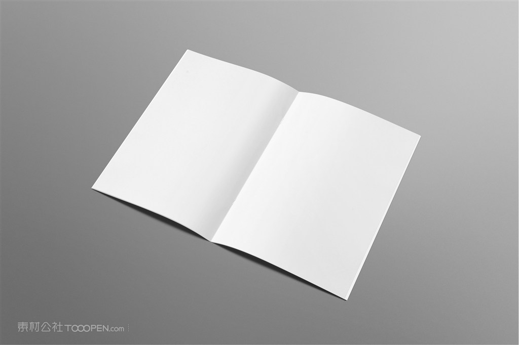 画册杂志宣传册样机