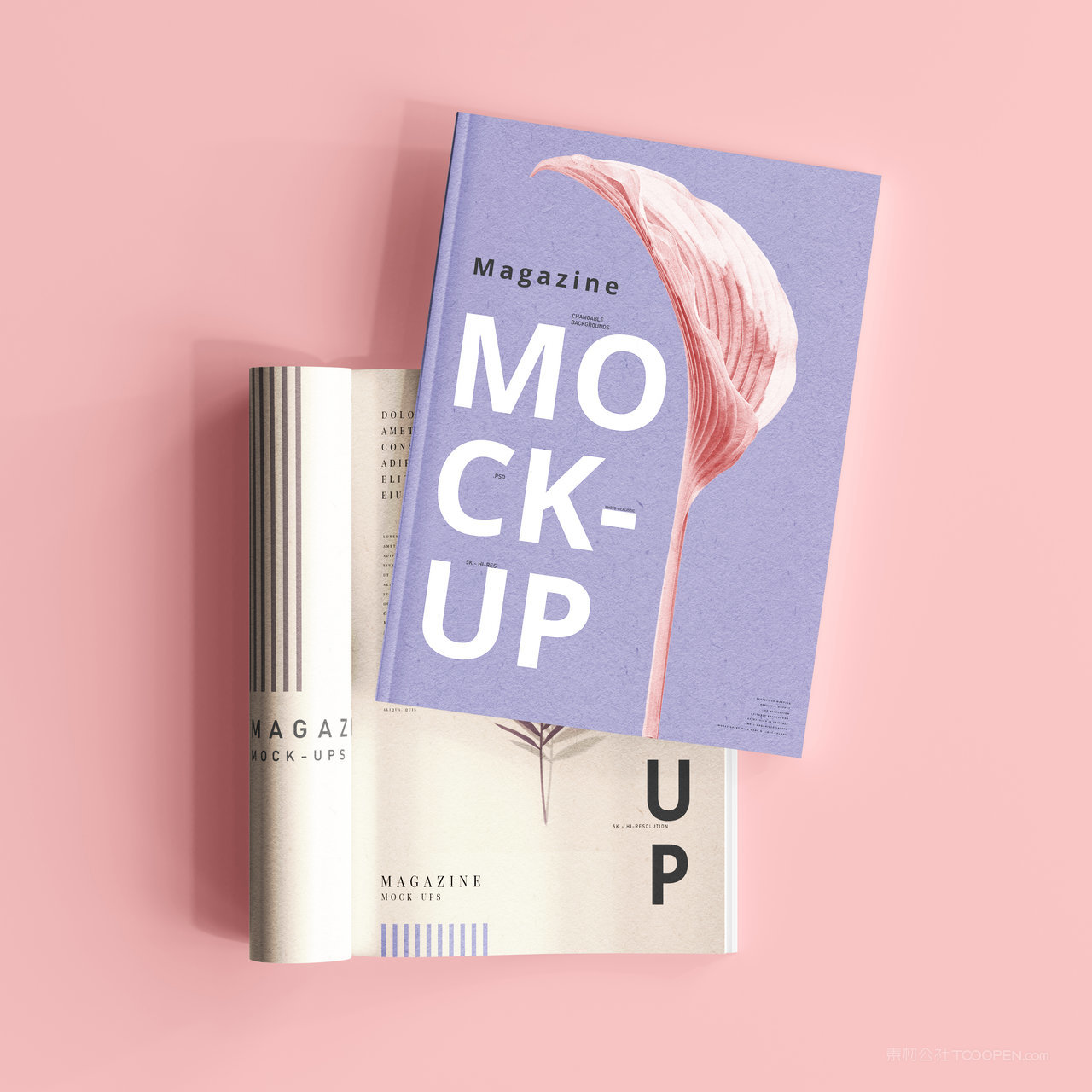 书籍封面内页贴图样机