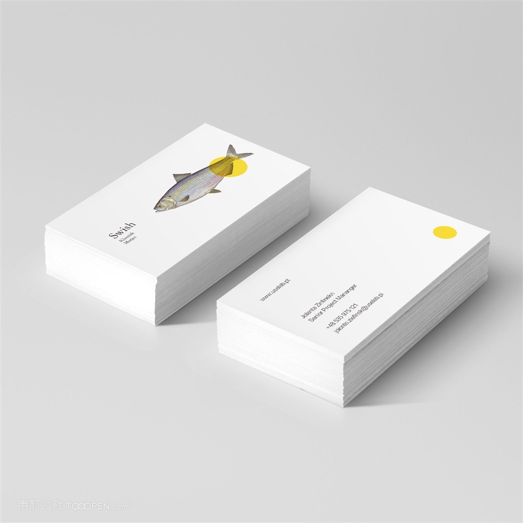 鱼类海鲜餐饮名片样机