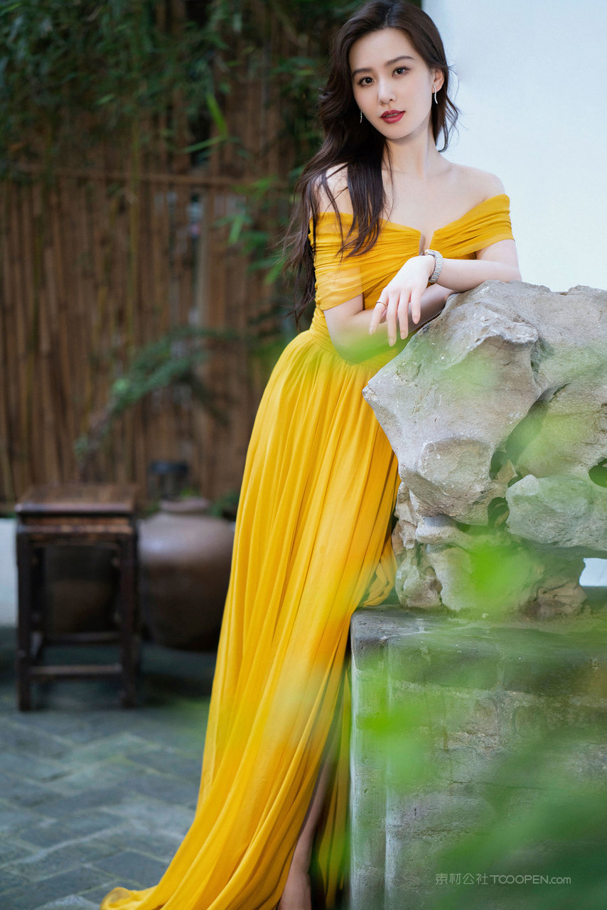 端庄大气的漂亮美女明星刘诗诗个人写真图片