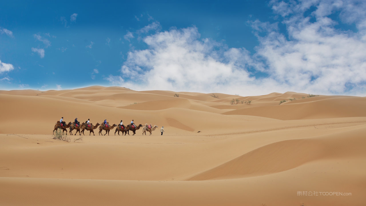 中卫沙坡头景区 (2)