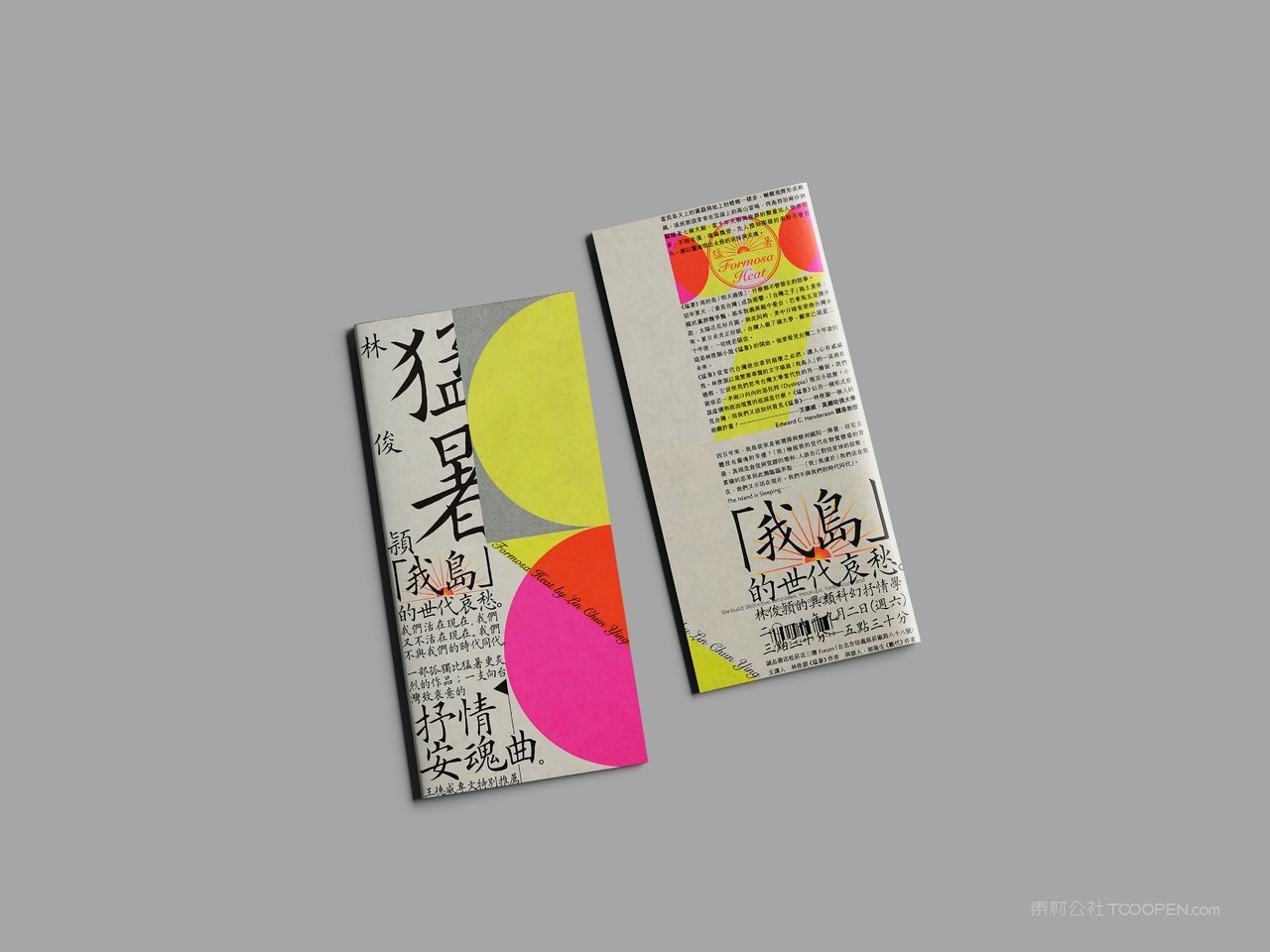 【1915期】折页宣传册册子样机 (2)