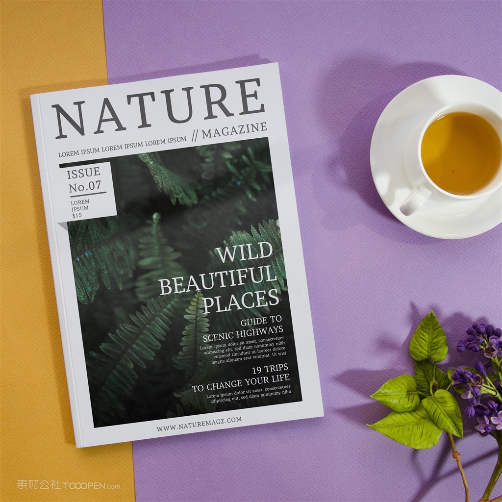 咖啡杯和薰衣草旁的自然杂志样机