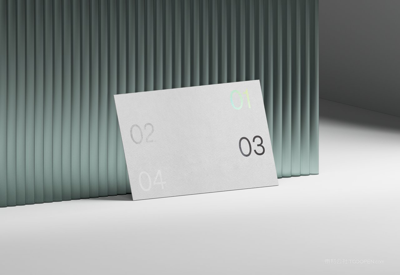 【2091期】商务黑冷淡风小众艺术样机 (7)